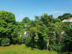 Bukit Timah Estate (D10), Detached #468537071